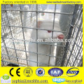 hot sale new type galvanized welded mesh mink cage